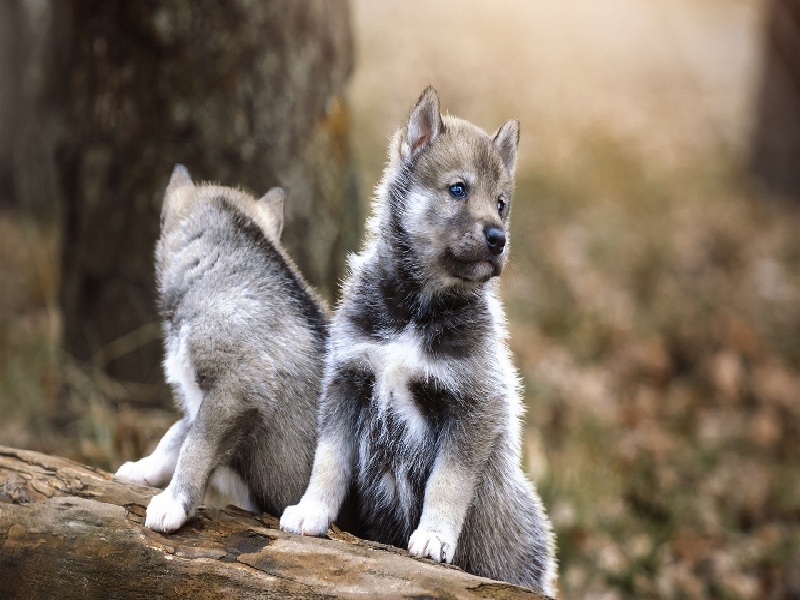 南宁正规试管医院,郁琦做试管
